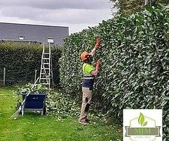 Landscape and Gardening services