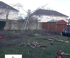 Landscape and Gardening services - Image 7/9