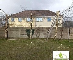 Landscape and Gardening services - Image 8/9