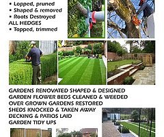 https://www.facebook.com/Gardenlinetreesservice/