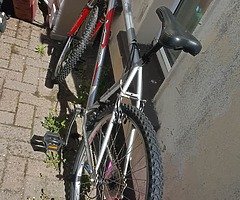 Bike - Image 4/5