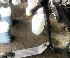 Ninebot scooter for sale