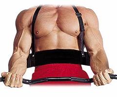 Gym Arm Blaster Training Padded Straps / Weight Lifting Bar.