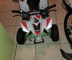 Orion electric quad 1000w