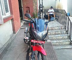 Pulsar 220cc 74lot