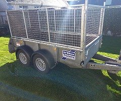 8 x 4 iforwilliams trailer, - Image 9/10