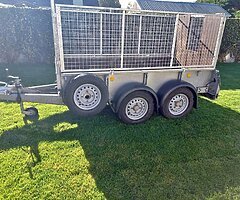 8 x 4 iforwilliams trailer, - Image 10/10