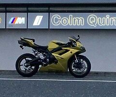 Triumph Daytona 675 SE - Image 8/9