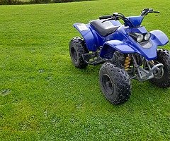 Quadzila 100cc