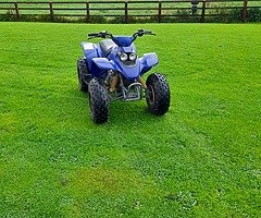 Quadzila 100cc