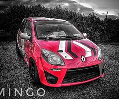 Twingo track/competition car