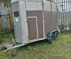 Ifor Williams horse box - Image 4/4