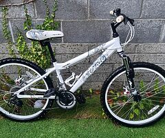 Apollo bike 24"