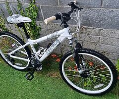 Apollo bike 24"