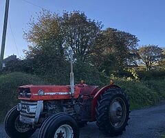 Massey Ferguson 135