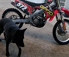 2012 CRF 250