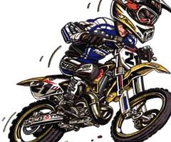 Motocross bikes