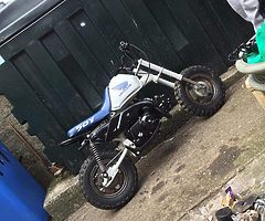 Any cheap pitbikes about??