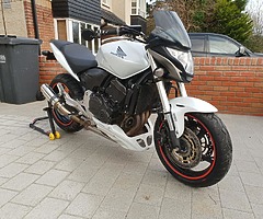 Honda hornet cb600f - Image 9/13