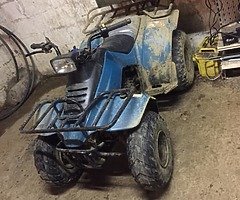 Quad wanted - Image 4/4