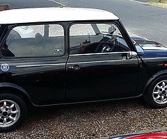 1990 classic mini , 1000cc , checkmate - Image 13/17