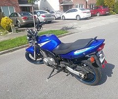 Suzuki gs500f - Image 5/8