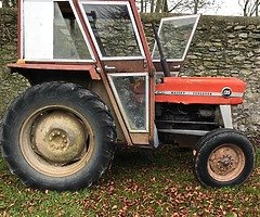 Massey Ferguson 135