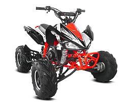 GREAT VALUE PANTHER 110 kids quad (1YEAR warranty) - Image 1/9