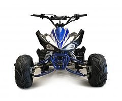 PANTHER 110 FAMILY quad (FINANCE/DELIVERY/GREEN) also red and blue - Image 1/10