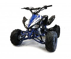 PANTHER 110 FAMILY quad (FINANCE/DELIVERY/GREEN) also red and blue - Image 10/10