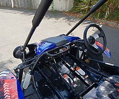 QUADZILLA CHEETAH 150 cc Buggy (FINANCE/DELIVERY) @ muckandfun - Image 5/10