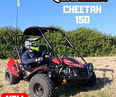 QUADZILLA CHEETAH 150 cc Buggy (FINANCE/DELIVERY) @ muckandfun - Image 8/10