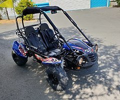 QUADZILLA CHEETAH 150 cc Buggy (FINANCE/DELIVERY) @ muckandfun - Image 10/10