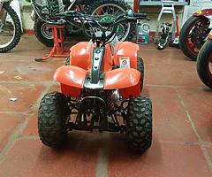 Firefly 50cc