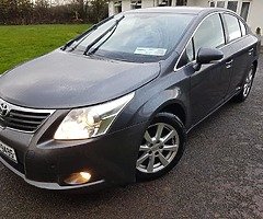 Immaculate avensis