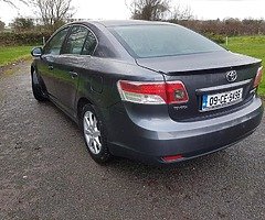 Immaculate avensis