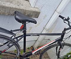 Bicycle adult