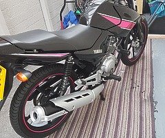 2014 ybr 125 - Image 4/6