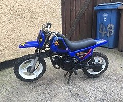 Pw50 copy for sale