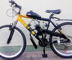 80cc New Motorised Bicycle, Warranty + Delivery - Image 5/5