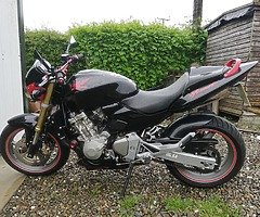 Honda hornet