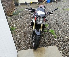 Honda hornet