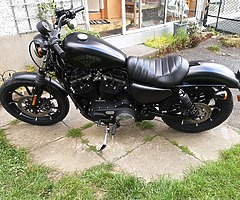 Harley Davidson xl883n - Image 4/6