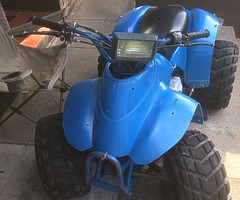 100 cc quad - Image 3/4