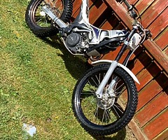 2008 scorpa sy 250 trials bike