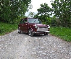 Mini 30