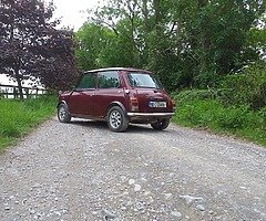 Mini 30