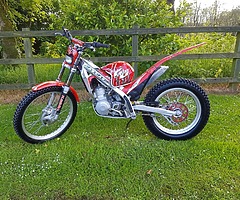 2002 GAS GAS 250CC - Image 8/8