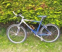 Mountain bike for sale