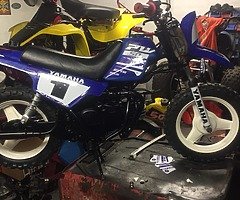 Pw50 ,